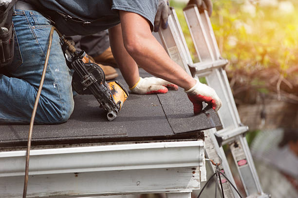 Best Roof Gutter Cleaning  in Benton, LA